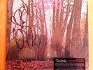 Twink - Think Pink  Signed By Twink  Played Once Pretty Things Pink Fairies
