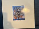 Talk Talk, Spirit of Eden, Vinyl 1988, Good playing condition