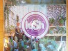 LUSH - Lovelife CLEAR Vinyl LP 12
