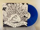 Ryan Adams & The Cardinals - Cardinology Gatefold LP - Blue 12” - 2008 -  Vinyl