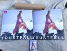 Pink P nk Trustfall Signed Autographed A3 Poster, 2 Sealed Vinyl LP’s & Cassette