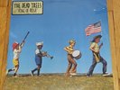 The Dead Trees - King Of Rosa LP Vinyl Record 2008 Indie Rock, Sealed with wear