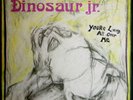 Dinosaur Jr. You're Living All Over Me (Vinyl) 12