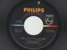 GARAGE PSYCH PUNK - QUADRANGLE - SHE'S TOO FAMILIAR NOW -  HEAR - 1966 PHILIPS