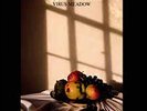And Also The Trees - Virus Meadow  [VINYL]