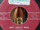 Rockabilly 45 FABULOUS SILVER TONES Hey, Sally Mae WEST COAST Original a6