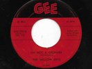THE MELLOW KEYS 45RPM '56 GEE I'M NOT A DECIEVER PRETTY DOO WOP BALLAD VG+++
