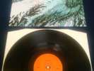 SECRET OYSTER - SEA SON LP ORIGINAL CBS HOLLAND 80489 HURDY GURDY DAY OF PHOENIX