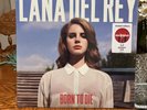 Lana Del Rey BORN TO DIE Target Limited Edition Red Opaque Vinyl LP Sealed