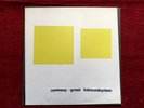 LCD Soundsystem Someone Great 2x12