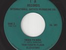 Garage Psych 45 - THIRTEENTH FLOOR ELEVATORS - Tried To Hide / You're Gonna Miss