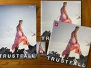 P NK PINK TRUSTFALL BLUE & HOT PINK VINYL ALBUMS, HAND SIGNED POSTER & CASSETTE