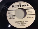 ANDRE WILLIAMS & DON JUANS-FORTUNE 824-GOING DOWN TO TIA JUANA/PULLING TIME EXC