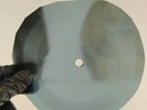 DOORS MY WILD LOVE X-Ray USSR Record Roentgen Bones Ribs Music Vinyl