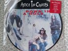 ALICE IN CHAINS - Down In A Hole 1993 UK ORIGINAL 7” PICTURE DISC