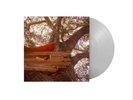 The Backseat Lovers Waiting to Spill (Vinyl) Indie Exclusive (UK IMPORT)
