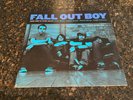 RARE Fall Out Boy Take This To Your Grave 2003 LP, 2009 Repress, Blue, Vinyl