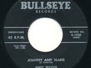 ANDY WILSON - Johnny And Marie / Worry  - BULLSEYE - Gr8 R&B Shouter 45