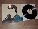LP - Spider Murphy Gang – Rock'n'Roll / SIGNIERT - Debut, self-released - RARE
