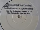Thrillseekers - Synaesthesia - 12