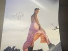 Pink P nk Trustfall Signed Autographed A3 Poster & 2 Sealed Vinyl LP & Cassette