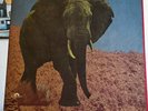Food Brain / Social gathering, Japan psych Original, Polydor 1970 + Poster
