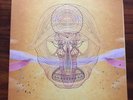 VINYL DEVENDRA BANHART What Will We Be WARNER 520962-1 GATEFOLD 180g 2 x LP FOLK