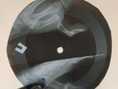 PINK FLOYD LUCIFER SAM X-Ray USSR Record Roentgen Bones Ribs Music Vinyl
