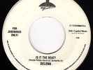 Selena y Los dinos – Is It The Beat?-	Vinyl, 7