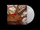 The Backseat Lovers Waiting To Spill Vinyl LP Clear Colour 2022 NEW