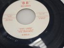 The Centurys Catch Me Fast And I Cried Rare Garage Rock 45 BB Records 1967