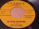 Rare 45 MIKE ROBIN AND ROBINS 