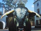 Vinyl Rock Swervedriver Mezcal Head LP, Album 1993 Shoegaze, Indie Rock (VG+ / V