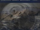 Ewan MacColl & Peggy Seeger Blood And Roses - Volume 2 vinyl L