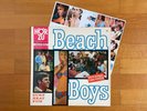 Vinyl LP THE BEACH BOYS 