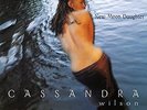 A602547173300 Cassandra Wilson - New Moon Daughter Vinyl Record  New