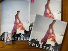 P NK PINK TRUSTFALL BLUE & HOT PINK VINYL ALBUMS, HAND SIGNED POSTER & CASSETTE