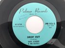 R&B Surf Popcorn Instro 45 DAVE SCHERER & CASTELS Drop Out PALMER  hear