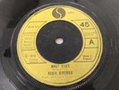 *RARE* RADIO BIRDMAN - ‘WHAT GIVES’ (Sire 6078 617) UK 1978 Punk/KBD VG+ COND.