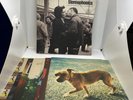 Stereophonics Performance And Cocktails Vinyl Boxset  7 x10