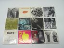 12x Vinyl Schallplatte Single Halo of Flies - Golden Boys - Gaudylight - usw