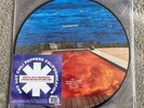 Red Hot Chili Peppers Californication Picture Disc Vinyl 20th Anniversary New