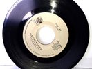 Vtg. FLETCHER WALKER III vinyl 45 on PARAMOUNT RECORDS * Didn't We* RARE? ?