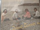 CHAMELEONS I GRANDE SUCCESSI E... LP