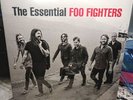 The Foo Fighters Essential LP 2 Record Set NEW