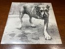 Alice In Chains - Self Titled - VG+ 1995 Press