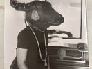 SHAKEY GRAVES – ROLL THE BONES -  VINYL LP NEW FREE SHIPPING - 3