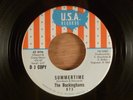 The Buckinghams  Summertime/Don't Want To Cry   Promo Garage 1967 U.S.A. Records