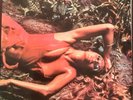 Roxy Music - Stranded - Original 1974 Vinyl LP - New Zealand release - EC