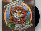 Robert Hunter - Tiger Rose - 1975 US 1st Press Album (NM) Ultrasonic Clean